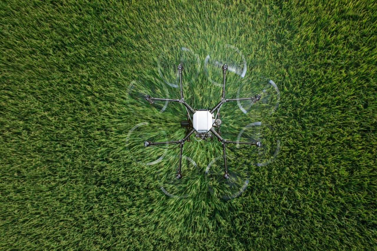 Innovación con sentido